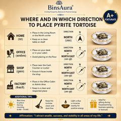 Vastu Tortoise for Wealth & Protection | Feng Shui Turtle for Money, Luck & Positive Energy