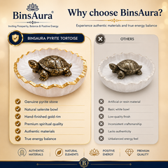 Vastu Tortoise for Wealth & Protection | Feng Shui Turtle for Money, Luck & Positive Energy
