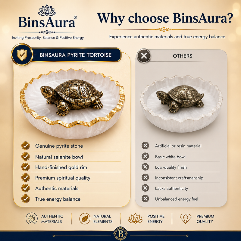 Vastu Tortoise for Wealth & Protection | Feng Shui Turtle for Money, Luck & Positive Energy