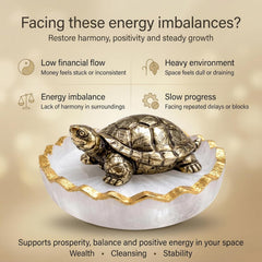 Vastu Tortoise for Wealth & Protection | Feng Shui Turtle for Money, Luck & Positive Energy