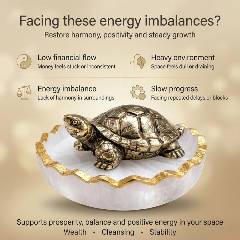 Vastu Tortoise for Wealth & Protection | Feng Shui Turtle for Money, Luck & Positive Energy