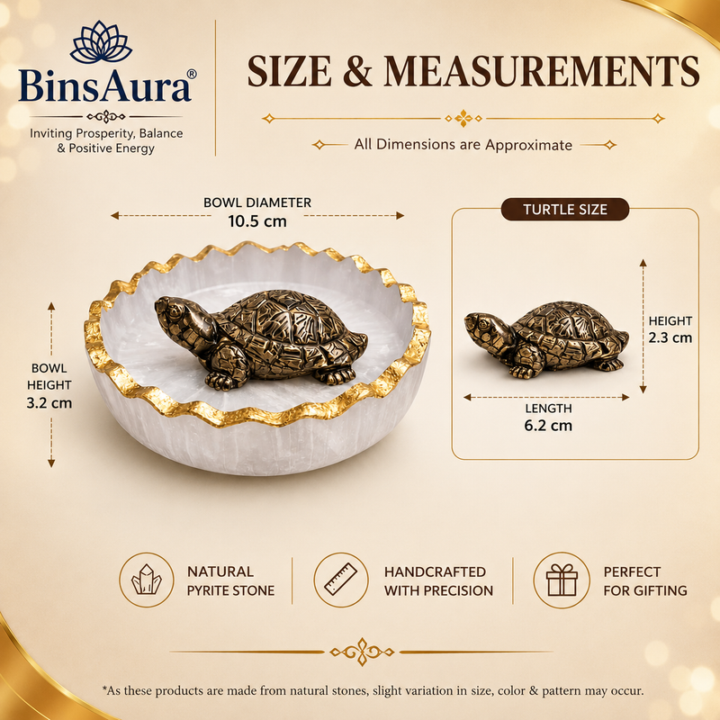 Vastu Tortoise for Wealth & Protection | Feng Shui Turtle for Money, Luck & Positive Energy