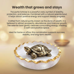 Vastu Tortoise for Wealth & Protection | Feng Shui Turtle for Money, Luck & Positive Energy