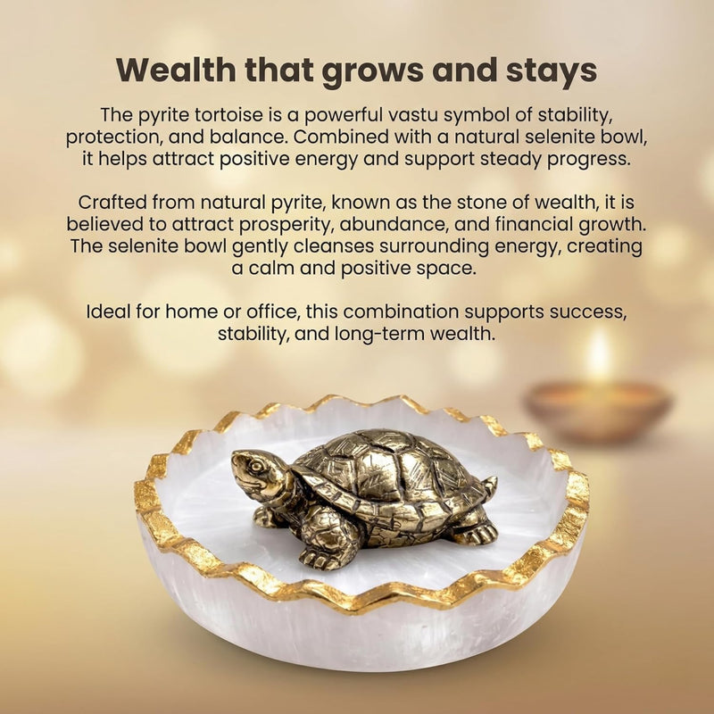 Vastu Tortoise for Wealth & Protection | Feng Shui Turtle for Money, Luck & Positive Energy