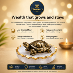 Vastu Tortoise for Wealth & Protection | Feng Shui Turtle for Money, Luck & Positive Energy