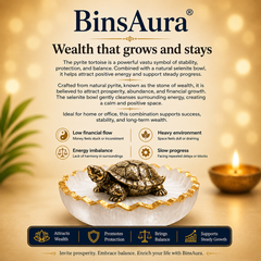 Vastu Tortoise for Wealth & Protection | Feng Shui Turtle for Money, Luck & Positive Energy