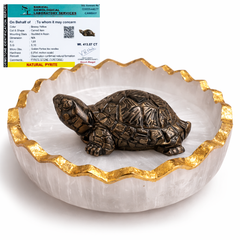 Vastu Tortoise for Wealth & Protection | Feng Shui Turtle for Money, Luck & Positive Energy