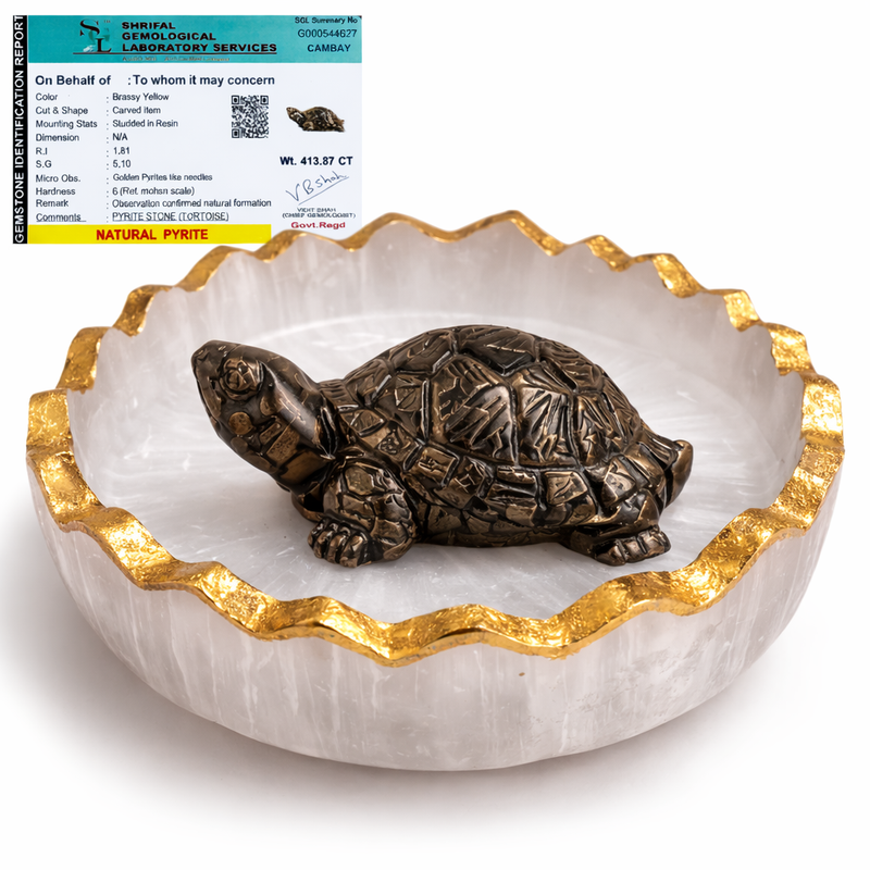 Vastu Tortoise for Wealth & Protection | Feng Shui Turtle for Money, Luck & Positive Energy
