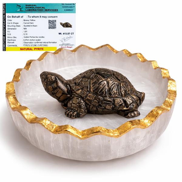 Vastu Tortoise for Wealth & Protection | Feng Shui Turtle for Money, Luck & Positive Energy