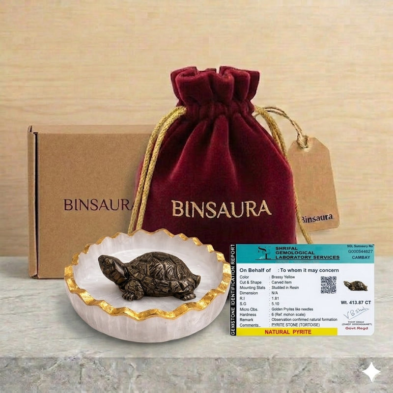 Vastu Tortoise for Wealth & Protection | Feng Shui Turtle for Money, Luck & Positive Energy