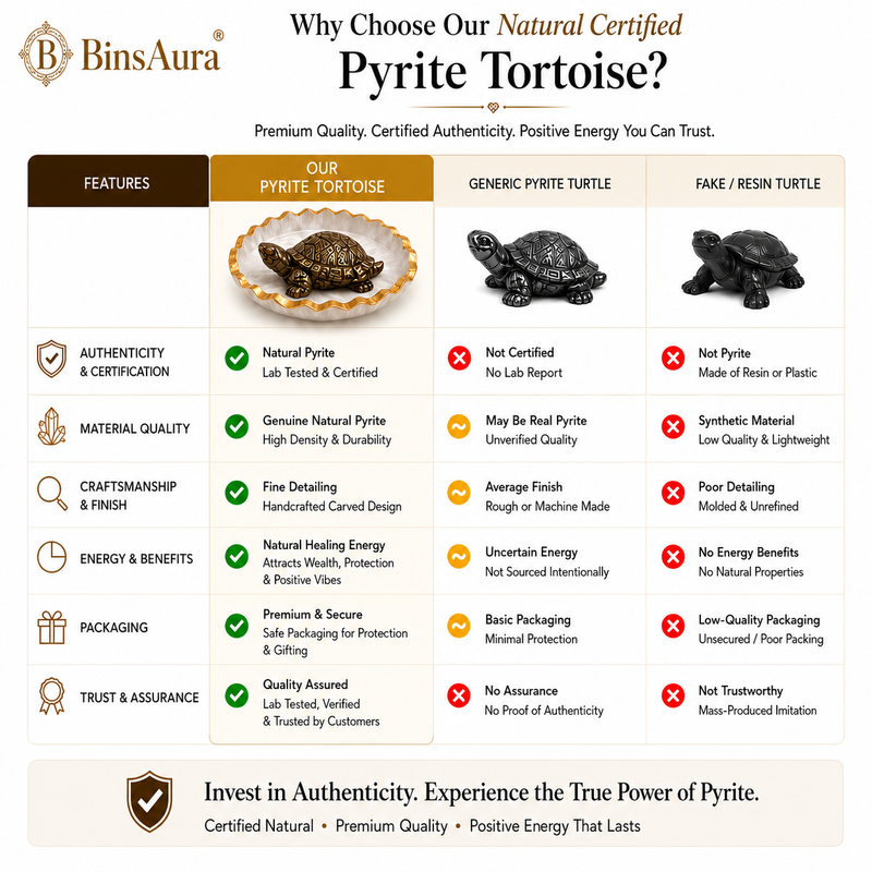 Vastu Tortoise for Wealth & Protection | Feng Shui Turtle for Money, Luck & Positive Energy