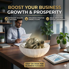 Vastu Tortoise for Wealth & Protection | Feng Shui Turtle for Money, Luck & Positive Energy