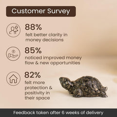 Decorative turtle figurine with customer survey statistics on a beige background