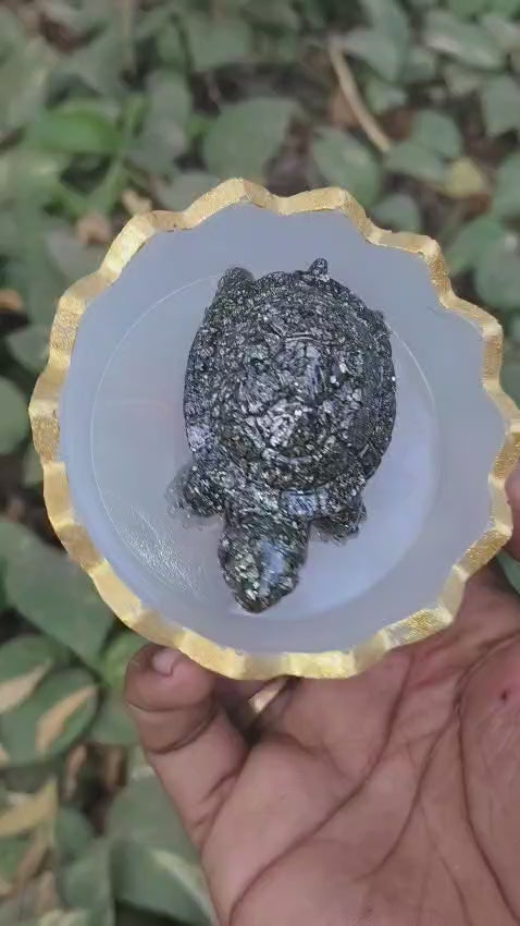 Vastu turtle placement in north direction for career success
