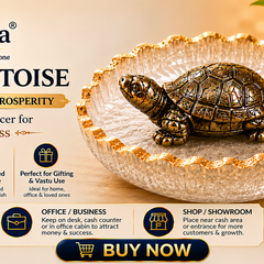 Vastu Tortoise for Wealth & Protection | Feng Shui Turtle for Money, Luck & Positive Energy