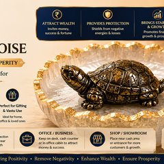 Vastu Tortoise for Wealth & Protection | Feng Shui Turtle for Money, Luck & Positive Energy