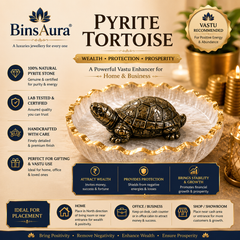 Vastu Tortoise for Wealth & Protection | Feng Shui Turtle for Money, Luck & Positive Energy