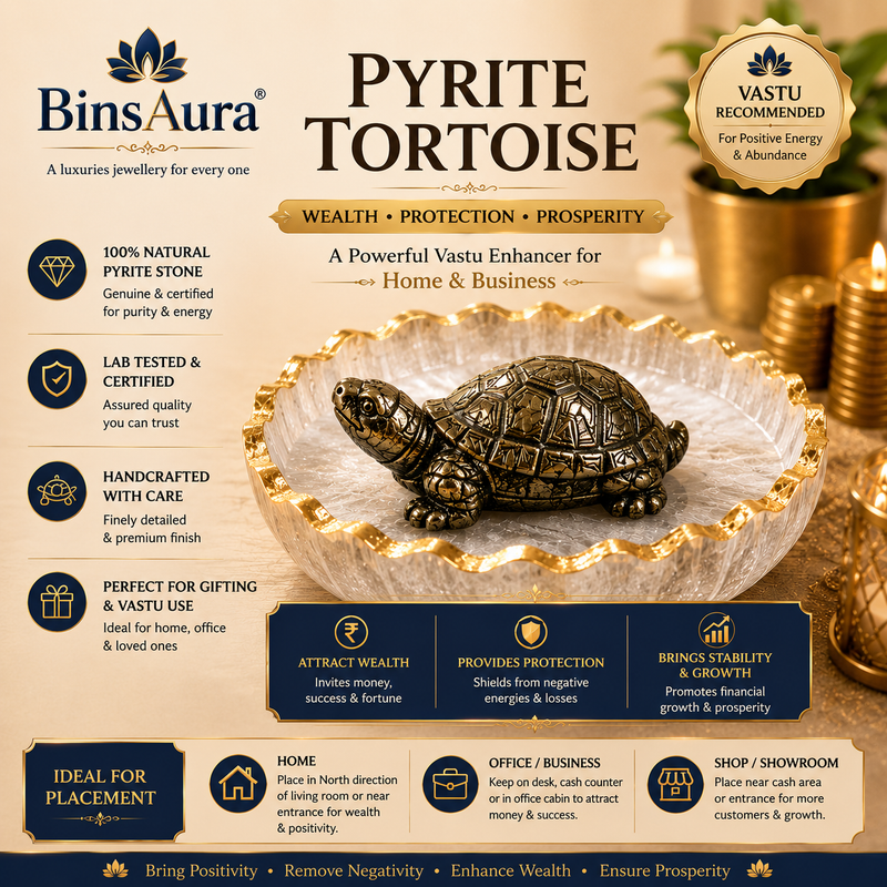 Vastu Tortoise for Wealth & Protection | Feng Shui Turtle for Money, Luck & Positive Energy